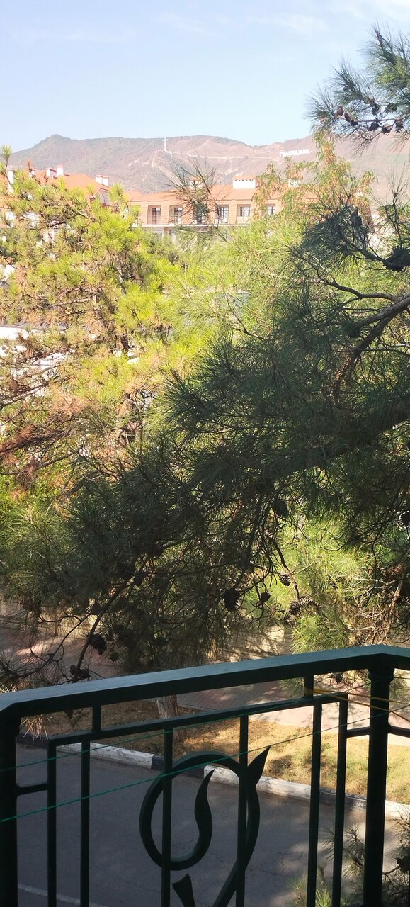 Гостевой дом Сосновая дача Геленджик-44