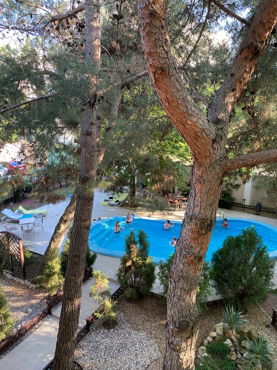 Гостевой дом Сосновая дача Геленджик-6