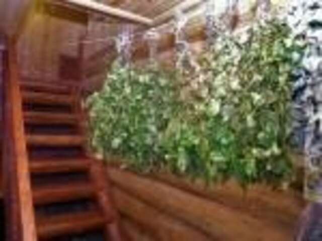 Гостевой дом Сосновая дача Геленджик-21