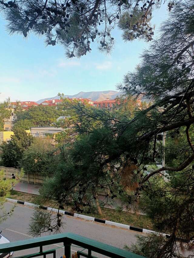 Гостевой дом Сосновая дача Геленджик-34