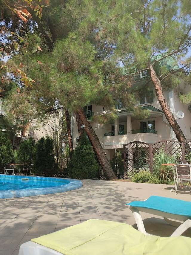 Гостевой дом Сосновая дача Геленджик-61